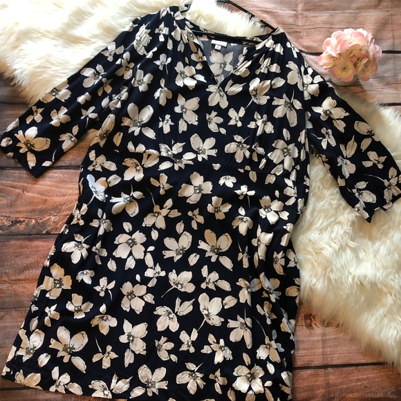 j jill plus size